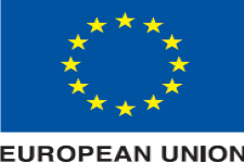 Eu Logo